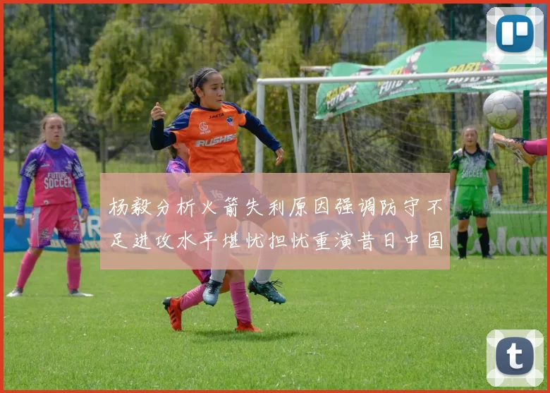 杨毅分析火箭失利原因强调防守不足进攻水平堪忧担忧重演昔日中国男篮困境