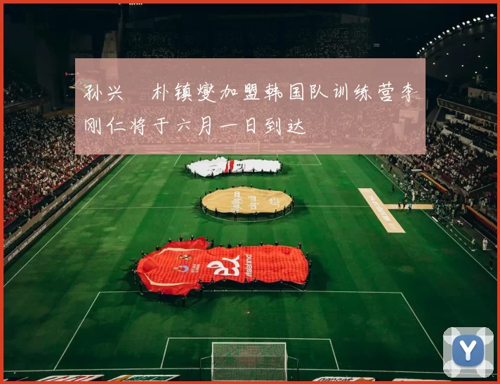 孙兴慜朴镇燮加盟韩国队训练营李刚仁将于六月一日到达
